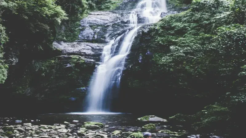 Conheça o Parque das 8 Cachoeiras em São Francisco de Paula - RS